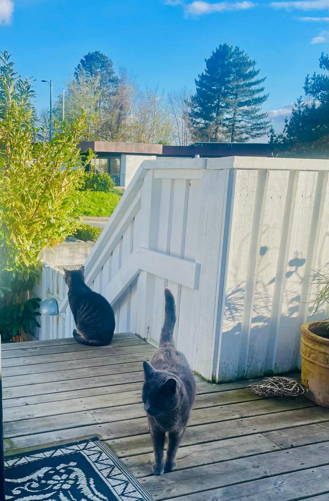 Cool Familyhome Close To The Beach W Two Cuddly Cats Espergærde Εξωτερικό φωτογραφία